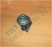 Plants: image 1 0f 20 thumb