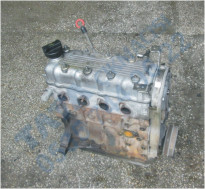 Plants: image 1 0f 20 thumb