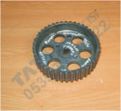 Plants: image 1 0f 20 thumb