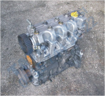 Plants: image 1 0f 20 thumb