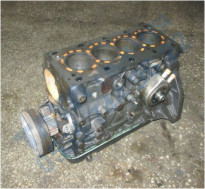 Plants: image 1 0f 20 thumb