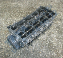 Plants: image 1 0f 20 thumb