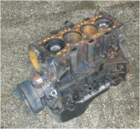 Plants: image 1 0f 20 thumb