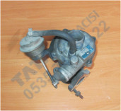 Plants: image 1 0f 20 thumb