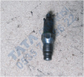 Plants: image 1 0f 20 thumb