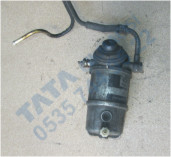 Plants: image 1 0f 20 thumb