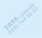 Plants: image 1 0f 20 thumb